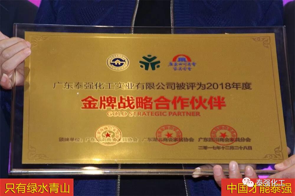 泰強(qiáng)化工受邀出席廣東湘楚川家居商會(huì)聯(lián)盟盛典暨2018迎春聯(lián)歡晚會(huì)(圖3)