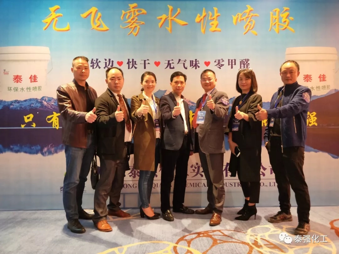 泰強(qiáng)化工受邀出席廣東湘楚川家居商會(huì)聯(lián)盟盛典暨2018迎春聯(lián)歡晚會(huì)(圖8)