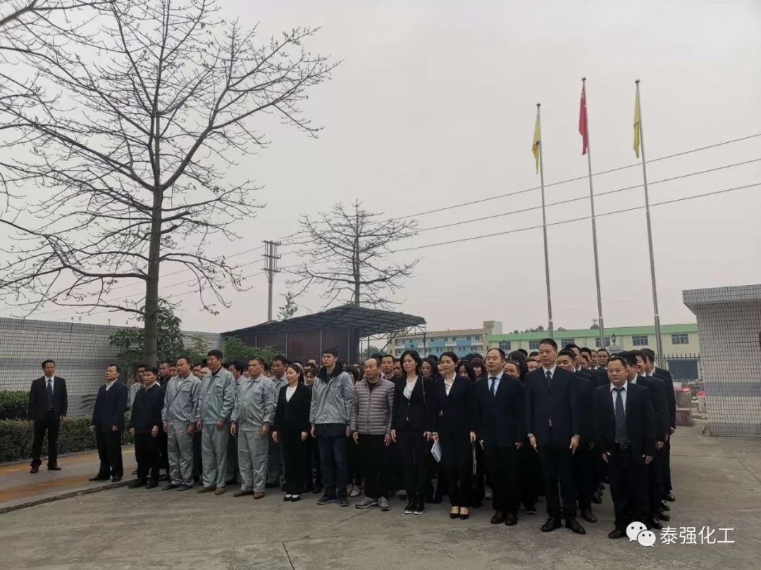 開工大吉?。?！新年伊始，泰強2019全新出發(fā)！(圖2)